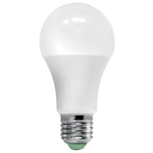 Lâmpada LED com sensor ECOLINE A60 E27/12W/230V 3000K -  Brilagi