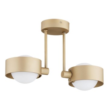 Argon 7215 - Candeeiro suspenso para casa de banho MASSIMO PLUS 2xG9/6W/230V IP44 dourado