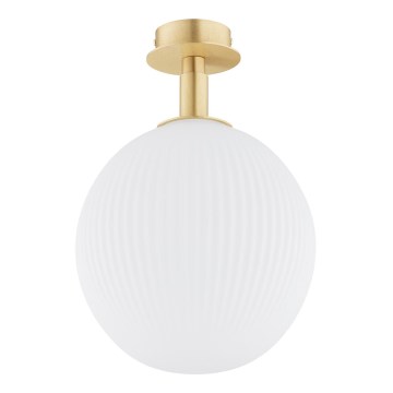 Argon 8505 - Iluminação de teto PALOMA 1xE27/15W/230V dourado/branco