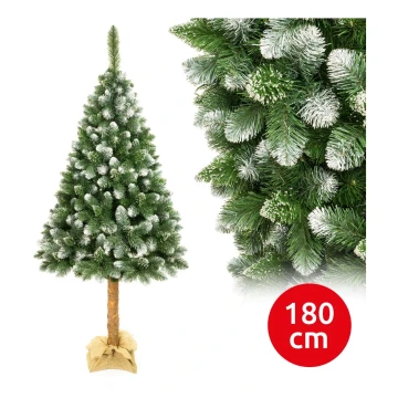Árvore de Natal num tronco 180 cm pinheiro