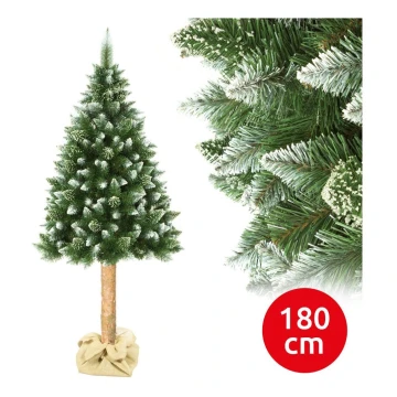 Árvore de Natal sobre um tronco 180 cm pinheiro