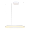 Azzardo AZ4959 - Candelabro suspenso LED com regulação HALO LED/56W/230V diâmetro 80 cm branco