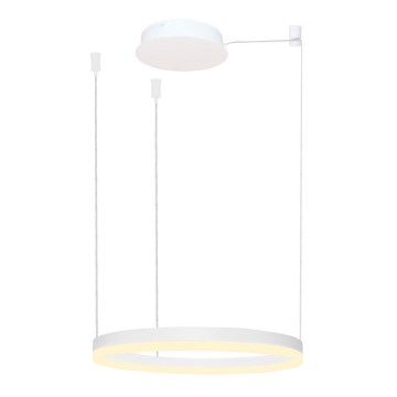 Azzardo AZ4967 - Candelabro suspenso LED com regulação HALO LED/47W/230V diâmetro 60 cm branco