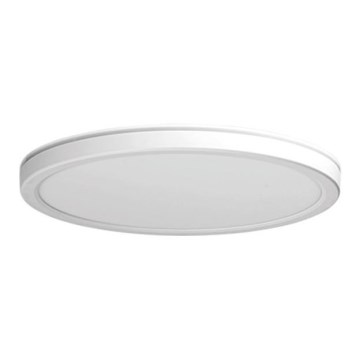 Azzardo AZ5367 - Iluminação de teto de casa de banho LED com regulação PANKA LED/24W/230V IP40 branco