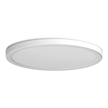 Azzardo AZ5369 - Iluminação de teto de casa de banho LED com regulação PANKA LED/45W/230V IP40 branco