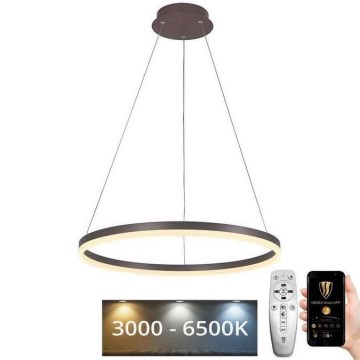 Brilagi - Candeeiro suspenso LED com regulação CIRCLE LED/42W/230V 3000-6500K castanho + comando