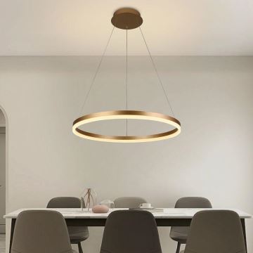 Brilagi - Candeeiro suspenso LED com regulação CIRCLE LED/42W/230V 3000-6500K + comando