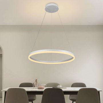 Brilagi - Candeeiro suspenso LED com regulação CIRCLE LED/42W/230V 3000-6500K + comando