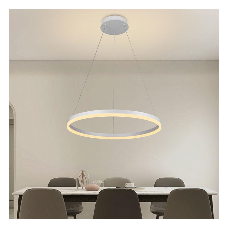 Brilagi - Candeeiro suspenso LED com regulação CIRCLE LED/42W/230V 3000-6500K + comando