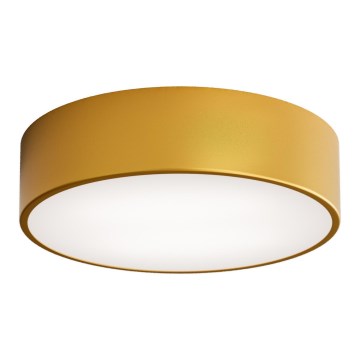 Brilagi - Iluminação de teto CLARE 2xE27/24W/230V diâmetro 30 cm dourado