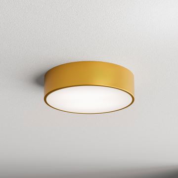 Brilagi - Iluminação de teto CLARE 2xE27/24W/230V diâmetro 30 cm dourado