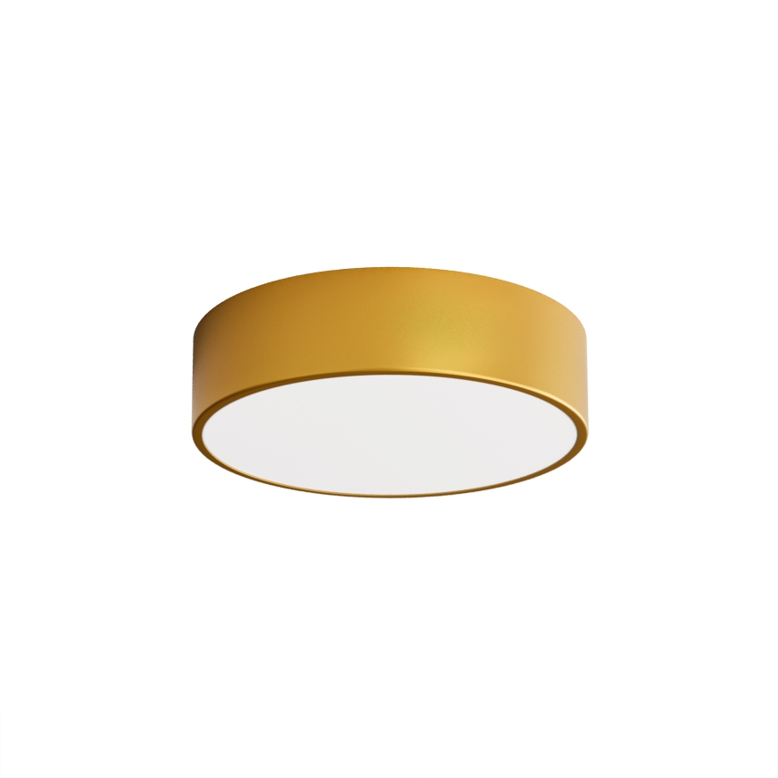 Brilagi - Iluminação de teto CLARE 2xE27/24W/230V diâmetro 30 cm dourado