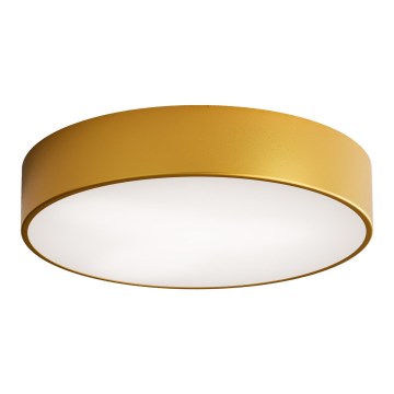 Brilagi - Iluminação de teto CLARE 3xE27/24W/230V diâmetro 40 cm dourado