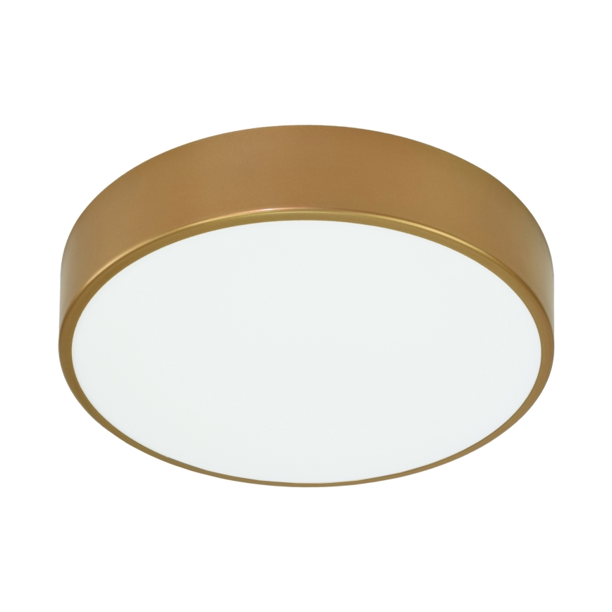 Brilagi - Iluminação de teto CLARE 3xE27/24W/230V diâmetro 40 cm dourado