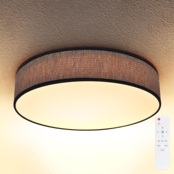 Brilagi - Iluminação de teto LED com regulação ADELA LED/48W/230V 3000-6500K diâmetro 40 cm + comando