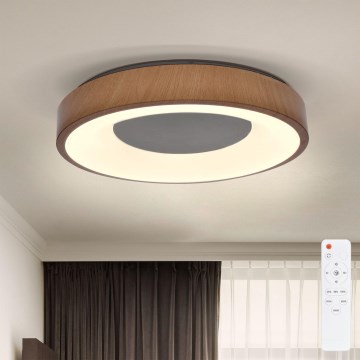 Brilagi - Iluminação de teto LED com regulação DORIA LED/48W/230V 3000-6500K diâmetro 39 cm + comando