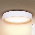 Brilagi - Iluminação de teto LED com regulação LARIOS LED/60W/230V 3000-6500K ø 49 cm branco + comando