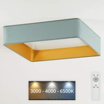 Brilagi - Iluminação de teto LED com regulação VELVET SQUARE LED/24W/230V 3000/4000/6500K + controlo remoto menta