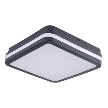 Brilagi - Iluminação exterior LED BENE LED/18W/230V 22x22 cm antracite IP54