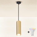 Brilagi - LED RGBW Lustre dimerizável suspenso por cabo SELE 1xGU10/6W/230V 3000K preto/dourado + controlo remoto