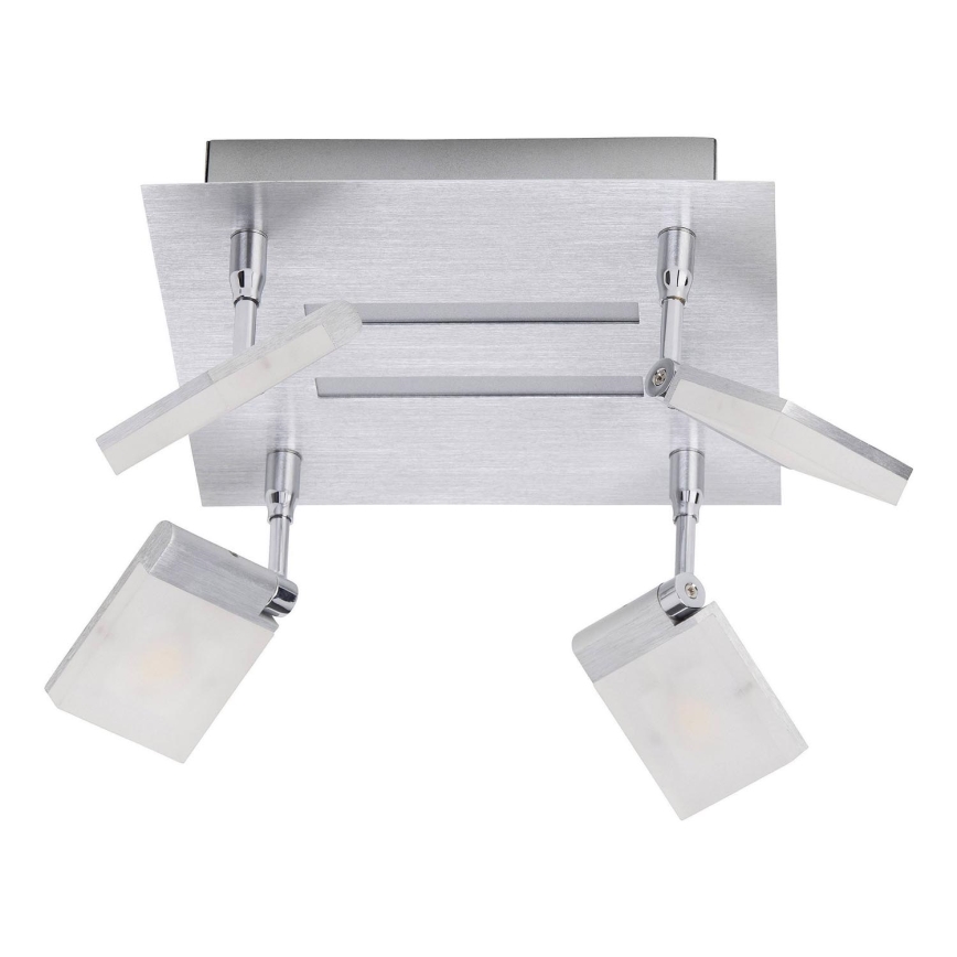 Brilliant - Foco LED PLAXICO 4xLED/6W/230V