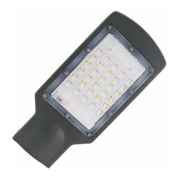 Candeeiro público LED LED/30W/170-400V IP67