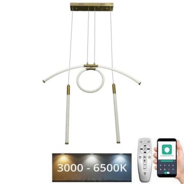 Candelabro suspenso LED com regulação LED/25W/230V 3000-6500K + controlo remoto