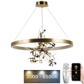 Candelabro suspenso LED com regulação LED/55W/230V 3000-6500K dourada + controlo remoto