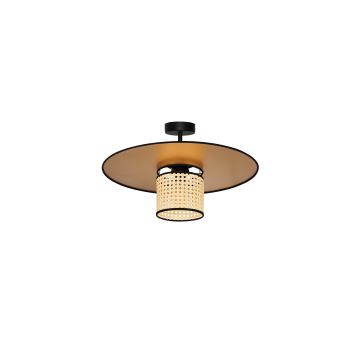 Duolla - Candeeiro integrado TOKYO RATTAN 1xE27/15W/230V dourada/vime