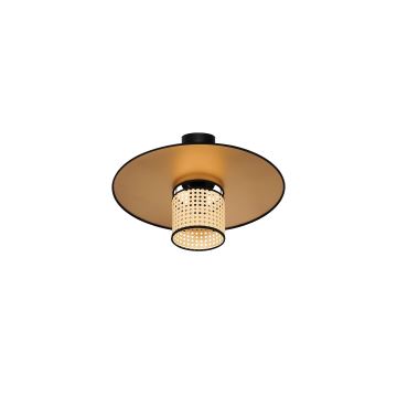 Duolla - Candeeiro integrado TOKYO RATTAN 1xE27/15W/230V dourada/vime