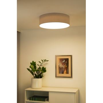 Duolla - Iluminação de teto LED CORTINA LED/26W/230V diâmetro 45 cm 4000K cinzento