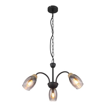 Globo - Candelabro suspenso 3xE14/25W/230V