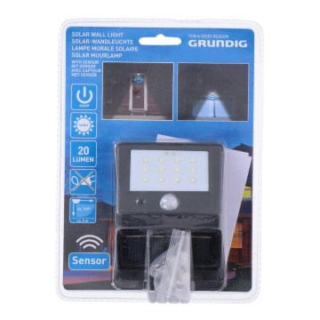 Grundig - Iluminação solar com sensor LED 1xLED/0,25W/1xAA