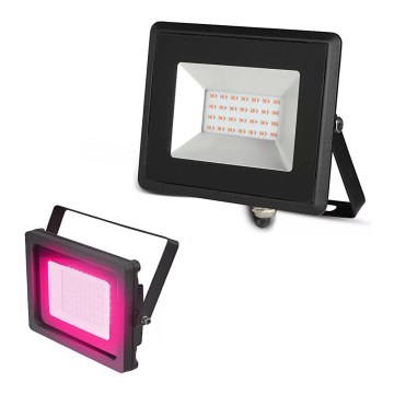 Holofote LED LED/20W/230V IP65 rosa iluminação