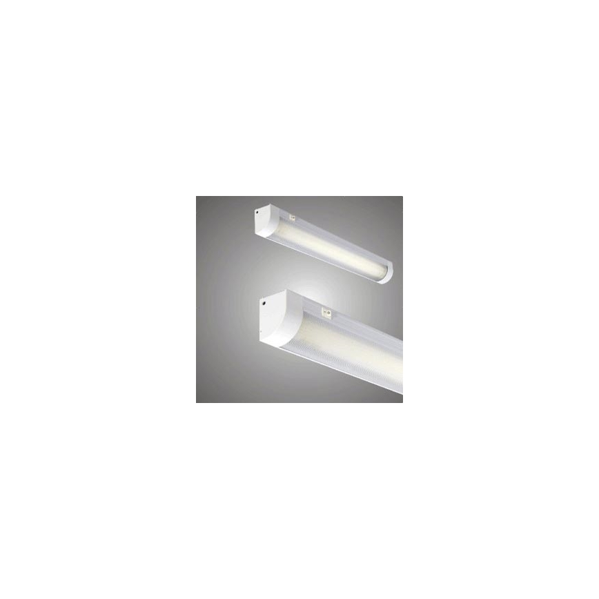 Iluminação de armário ANTAR 2700K 1xG13/36W/230V branco