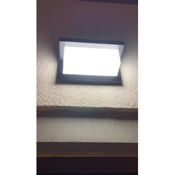 Iluminação de parede exterior LED com sensor LED/12W/230V IP54 preto