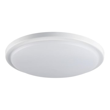 Iluminação de teto de casa de banho LED ORTE LED/24W/230V IP54