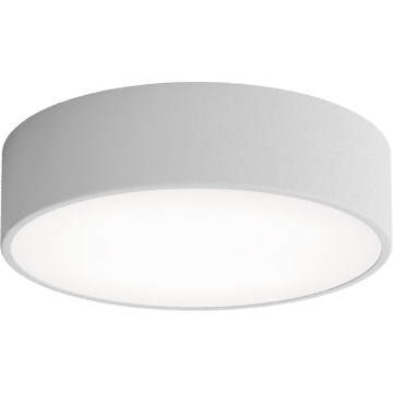 Iluminação de teto LED CLEO LED/24W/230V 3000K diâmetro 30 cm cinzento