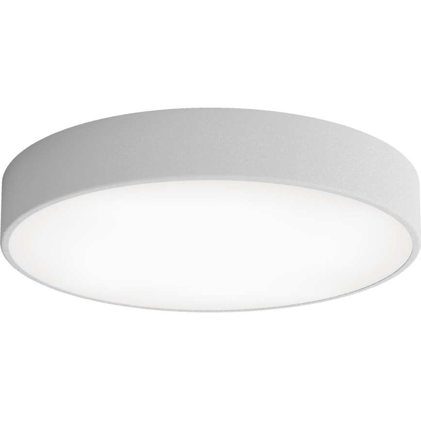 Iluminação de teto LED CLEO LED/69W/230V 3000K diâmetro 50 cm cinzento