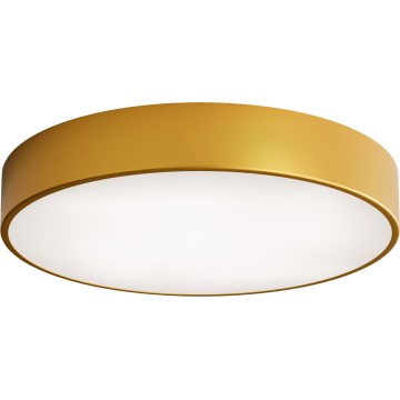 Iluminação de teto LED CLEO LED/69W/230V 4000K diâmetro 50 cm dourado