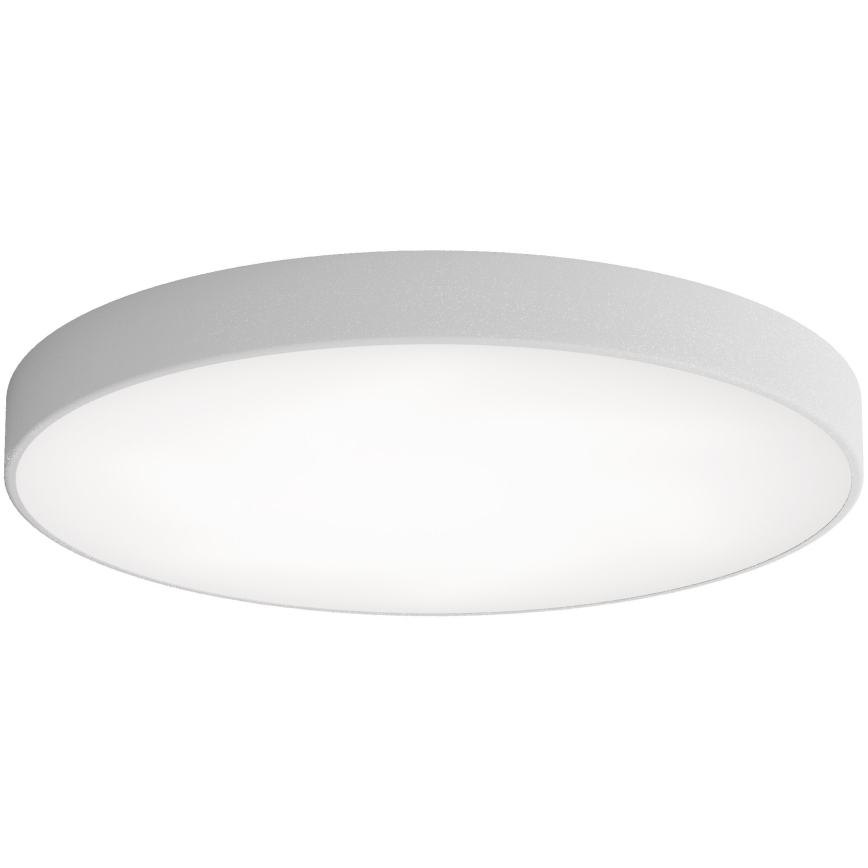 Iluminação de teto LED CLEO LED/96W/230V 3000K diâmetro 80 cm cinzento