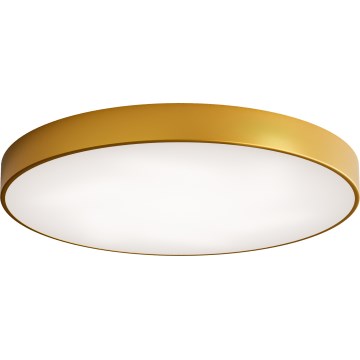 Iluminação de teto LED CLEO LED/96W/230V 3000K diâmetro 80 cm dourado