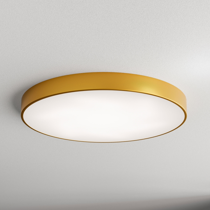 Iluminação de teto LED CLEO LED/96W/230V 3000K diâmetro 80 cm dourado