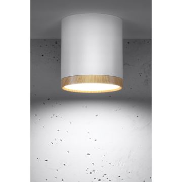 Iluminação de teto LED TUBA LED/5W/230V branco/bege