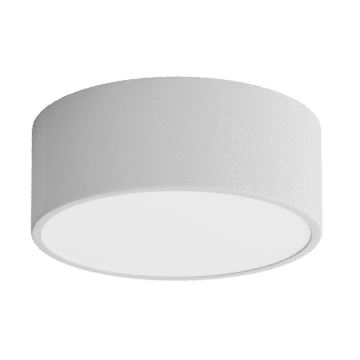 Iluminação de teto para casa de banho CLEO 1xE27/24W/230V diâmetro 20 cm cinzento IP54