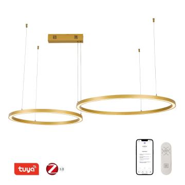 Immax NEO 07218L - Candelabro suspenso LED com regulação FINO LED/93W/230V 60/80cm dourada Tuya + comando