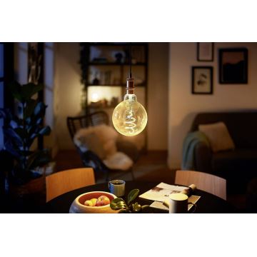 Lâmpada fosca LED VINTAGE Philips G200 E27/6,5W/230V 2000K