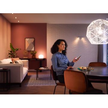 Lâmpada LED com regulação Philips Hue WHITE AMBIANCE E27/13W/230V 2200-6500K