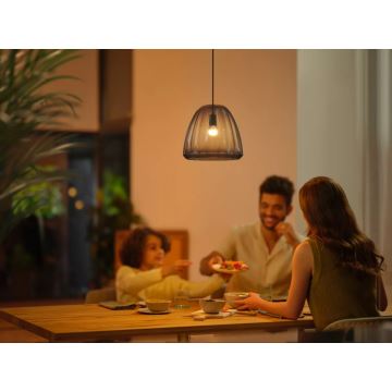 Lâmpada LED com regulação Philips Hue WHITE AMBIANCE P45 E14/5,1W/230V 2200-6500K