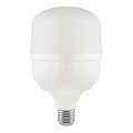 Lâmpada LED T100 E27/30W/230V 4000K